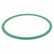 Fuel Pump Tank Seal Gasket - 124.9mm ID