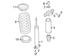 Coil Spring - Rear