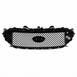 Radiator Grille - Front