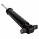Suspension Shock Absorber - Rear