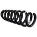Coil Spring - Front