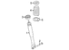 Coil Spring - Rear 2.0L