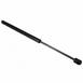 Hood Lift Support Gas - Right