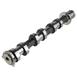 Engine Camshaft - Left