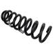 Coil Spring - Front