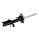 Suspension Strut Shock Absorber - Front