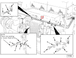 3069124 Image9