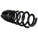 Coil Spring - Rear