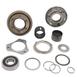 Gear Mainshaft 2nd Speed - 51 Teeth (AT)