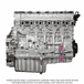 Long Block Engine DD15 14.8L GHG17 472910 Front Sump with A/T Turbo, Closed Coolant Port