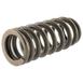 Engine Valve Spring - 5.2L