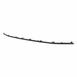 Grille Molding - Front