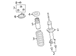 Coil Spring - Left, Front, Rear (XL, XLT)