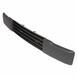 Bumper Trim Cover - Front 5.0L (Phantom/Raptor)