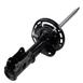 Strut Shock Absorber Suspension <br>Cartridge and Base of the - Left, Front 3.0L