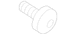 Seat Belt Lap and Shoulder Bolt Screw