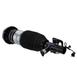 Suspension Strut and Coil Spring Assembl - Front