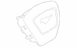 Steering Wheel Air Bag Module (Appearance Package #1)