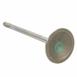 Engine Intake Valve - Inlet 3.0L