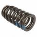 Engine Valve Spring - 5.0L