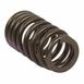 Engine Valve Spring
