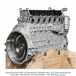 3/4 Engine MBE906 6.4L EPA04 902919 Without Constant Throttle with Flywheel Housing