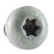 Seat Belt Lap and Shoulder Bolt - M10 x 15MM, Front
