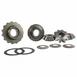 Differential Pinion Gear - Rear